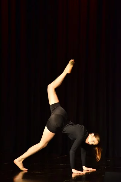 Liberation Dance Show by Zirka
